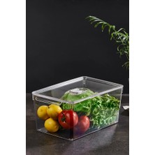 Patulya Aksesuar Buzdolabı Organizeri 32,5X20X14| Kapaklı Buzdolabı Düzenleyici Saklama Kutusu |meyve Sebze Organizer