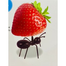 Özbience 6'lı Karınca Kahvaltı ve Atıştırmalık Sunumu Seti