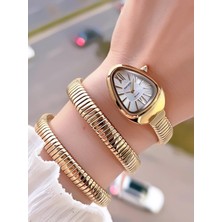 Ferrucci Yılan Dolamalı Çelik Kordon 2 Yıl Garantili 3 Atm Suya Dayanıklı Kadın Kol Saati C.03442.4