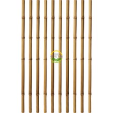 Fidan Sepetim Fidan Dikim Destek Çubuğu 50 Adet (150cm)