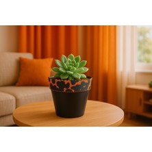 SHC4200 Nf Leo Dekoratif Saksı 1.7 Litre