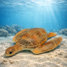 Değirmen Grup Deniz Hayvanları Serisi - Caretta Caretta 22 cm (Lisinya)