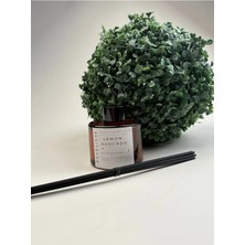 Limon+Avokado Oda Kokusu