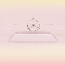 SHC4200 SHC42® Dekoratif Masa Üstü Obje Manyetik Kinetik Orbital Dönen Yunuslar