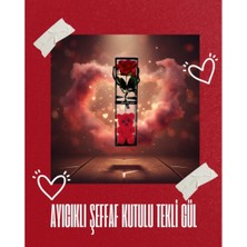 Poebgo Family's Ayıcıklı Şeffaf Kutulu Tekli Gül