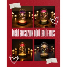Poebgo Family's İncili Sonsuzluk Gülü Ledli Fanus