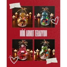 Poebgo Family's Mini Armut Teraryum - Özel Gün Hediyesi