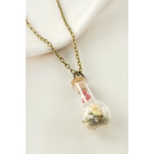 Makay Fanus Canlı Kolye