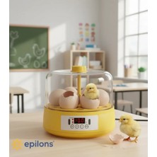 Kyops Mini Otomatik Ev Tipi Kuluçka: Elektrikli Tavuk ve Kuş Kuluçka Makinesi 6 Yumurtalı Mx-6 ( Lisinya )