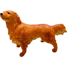 Hatıra Kutusu Soft Köpekler - Collie Cinsi Köpek - E013 (Lisinya)