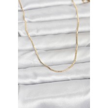 Hatıra Kutusu cm 14K Gold Renk Ince Kare Zincirli Model 60 cm Kadın Kolye - Lisinya