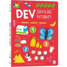Hatıra Kutusu Dev Sayılar Kitabım