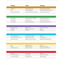 Skygo Istanbul B1 Turkce Seti Yeni, Yabancilar Icin Turkce Ders Kitabi ve Calisma Kitap Seti - Qr Kod Secenekli - Orta Seviye Alistirma Kitap Seti