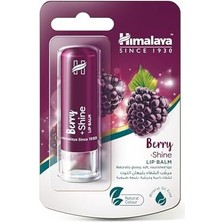 Skygo Himalaya Since 1930 Parlatıcı Dudak Bakım Kremi, Böğürtlen, NEMLENDIRICI,%100 Doğal Renk, Silikon Içermez, 4,5 gr