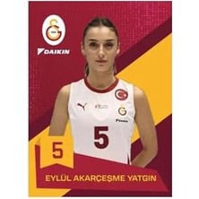 Skygo Mythos Voleybol Kart Serisi-Karton Kutu 24/25 (15 Kart)