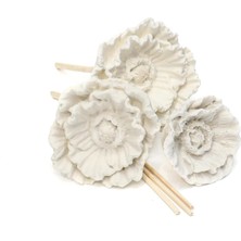 Skygo Missi Seramik Çiçek Taşlı 10'lu Doğal Bambu Kamış Seti