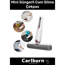 Özbience Asma Delikli Mini Tezgah Cam Silme Süngeri, Banyo ve Mutfak Temizliği