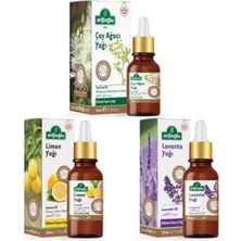 Skygo Çay Ağacı Yağı 10ML + Lavanta 20ML + Limon Yağı 20ML