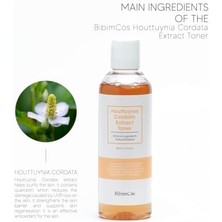 Skygo Hottuynia Cordata Özlü Tonik, Hassas Cilt Bakımı, Yatıştırıcı ve Nemlendirici Tonik, Uvb Hasarını Azaltmaya Yardımcı Olur, Cilt Yenilenmesini Destekler, 200ML