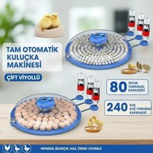Marsilyan 80 ve 240 Kapasiteli Fonksiyonel Tam Otomatik Kuluçka Papağan Mini Kuş Tavuk Kaz Ördek Uyumlu