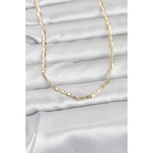 Clariss cm 14K Gold Renk Gemici Zincir Model 60 cm Kadın Kolye