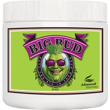 Advanced Nutrients Big Bud Powder 500G
