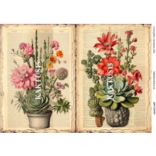 Lineart KKTS15 Renkli, Kaktüs Desenli 29*42 cm Pirinç Dekopaj