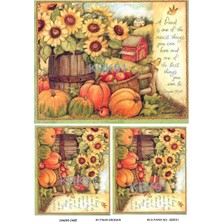 Lineart KBK91 Çiçek, Kabak Desenli 29*42 cm Pirinç Dekopaj