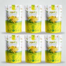 Foodry Freeze-Dry Limon (Freeze Dried Lemon) | Dondurularak Kurutulmuş Meyve Kurusu 20G *6