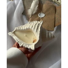 Yaratıcı Sanatlar Atölyesi Deniz Kabuğu Içinde Okyanus Temalı Kokulu Aromaterapi Mum Dekoratif El Yapımı Tasarım Mum