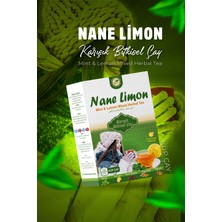 Vhp Nane Limon Küp