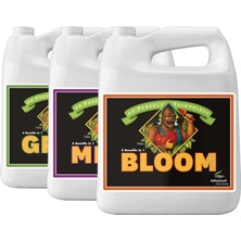 Advanced Nutrients Grow Micro Bloom 5 Litre