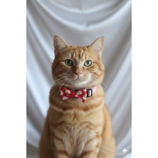 Papatya Desenli Ayarlanabilir Kedi Köpek Tasması – Fiyonklu ve Emniyet Tokalı Premium Seri