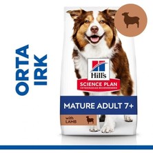 Üreticiniz Hills Mature Senior +7 Medium Orta Irk Kuzu Etli Yaşlı Köpek Mamasi 2.5 kg 481348