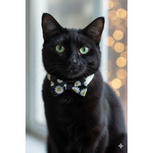 Papatya Desenli Ayarlanabilir Tasma - Fiyonklu ve Emniyet Tokalı Küçük Irk Köpek Tasması