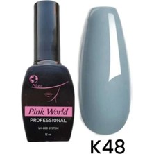 Pink World Kalıcı OJE 12ML K48