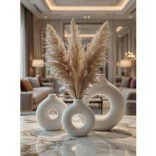 Safir Design 3'lü Iskandinav Büyük Halka Vazo Seti - Pampas HEDIYELI-20CM-13CM