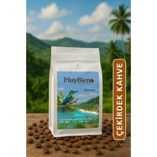 MuyBieno Honduras San Marcos 250 gr Çekirdek Kahve