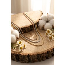 Lykos Çelik Mix Renk Burgu Zincir Model Kadın Kolye