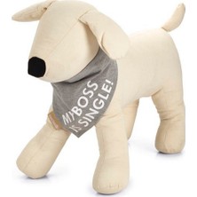 Snmswrld Beeztees Bandana Boyun Tasması Gri 35*29 cm Large