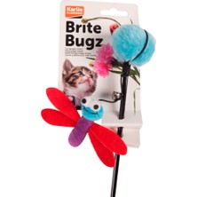 Karlie Snmswrld Karlıe Kedi Oltası Yusufcuk