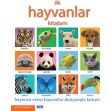 Renklime Ilk Hayvanlar Kitabım