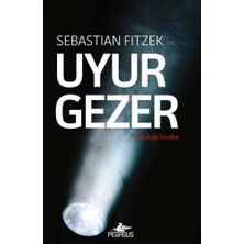 Renklime Uyurgezer