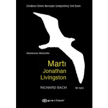 Renklime Martı Jonathan Livingston
