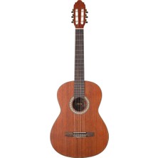 Valencia Cgltd2 Klasik Gitar Limited 2 (Mat) | Özel Seri - Doğal Dokunuş - Sıcak Ses