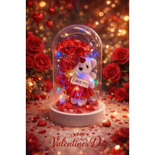 Chance Gift Seni Seviyorum Yazılı Fanus Ayıcıklı 3 Mod LED Işıklı Beyaz Fanus | Sevgililer Günü Yıldönümü Hediye