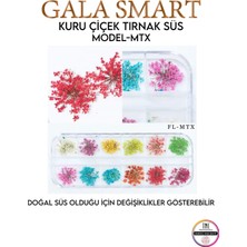 Gala Smart  Kuru Çiçek Naıl Art Tırnak Süs C