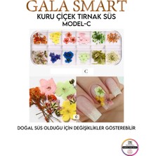 Gala Smart  Kuru Çiçek Naıl Art Tırnak Süs D