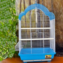 EuroGold Snmswrld Kafes Renkli 34,5X28X54,5