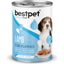 Snmswrld Bestpet 400 gr x 12 Adet Yavru Köpekler Için, Taze Kuzu Parça Etli ve Soslu Yaş Mama
